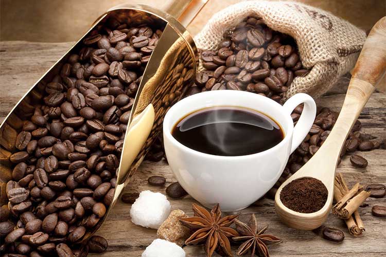 قهوه گانودرما یا کلاسیک؟ بررسی تفاوت‌ها و راهنمای خرید بهترین قهوه برای شما